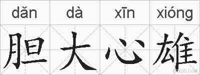 胆大心雄的拼音