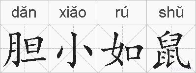 胆小如鼠的拼音