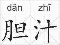 胆汁的拼音