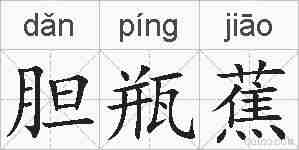 胆瓶蕉的拼音