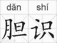 胆识的拼音