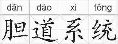 胆道系统的拼音