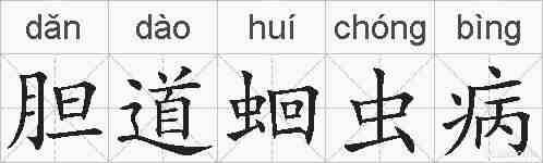 胆道蛔虫病的拼音