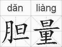 胆量的拼音