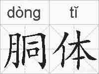 胴体的拼音
