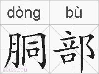 胴部的拼音