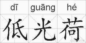 低光荷的拼音