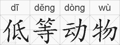 低等动物的拼音