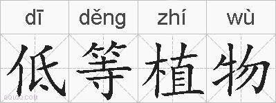 低等植物的拼音