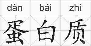 蛋白质的拼音