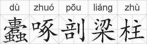 蠹啄剖梁柱的拼音