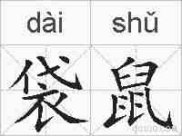 袋鼠的拼音