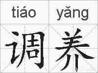 调养的拼音