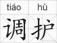调护的拼音