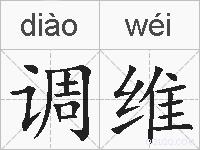 调维的拼音
