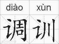 调训的拼音