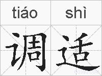 调适的拼音
