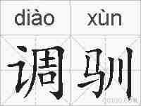 调驯的拼音