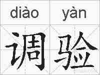 调验的拼音