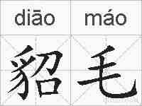 貂毛的拼音