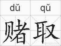 赌取的拼音