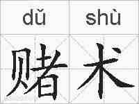 赌术的拼音