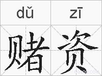 赌资的拼音