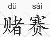 赌赛的拼音