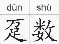 趸数的拼音