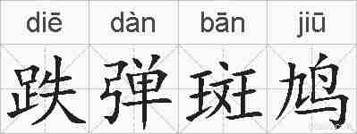 跌弹斑鸠的拼音