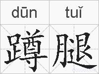 蹲腿的拼音