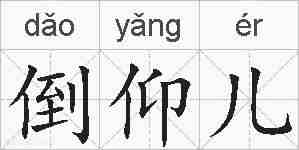 倒仰儿的拼音