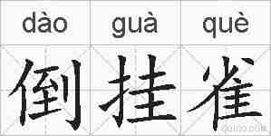 倒挂雀的拼音