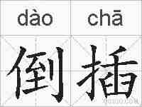 倒插的拼音