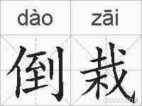 倒栽的拼音