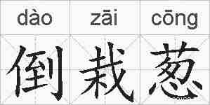 倒栽葱的拼音