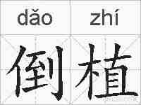 倒植的拼音