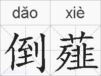 倒薤的拼音