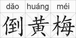 倒黄梅的拼音