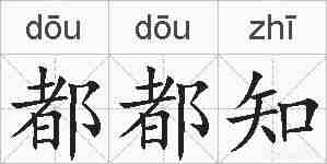 都都知的拼音