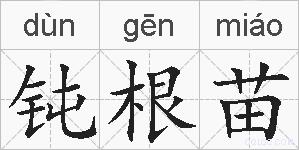 钝根苗的拼音