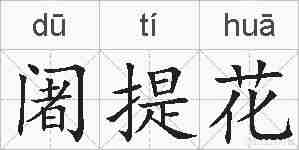 阇提花的拼音