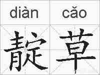 靛草的拼音