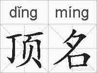 顶名的拼音