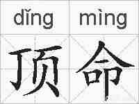 顶命的拼音