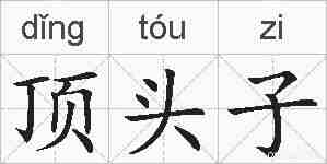 顶头子的拼音