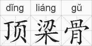 顶梁骨的拼音