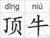 顶牛的拼音