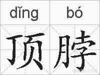 顶脖的拼音