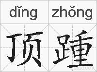 顶踵的拼音